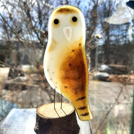 Fused Glass - Owl