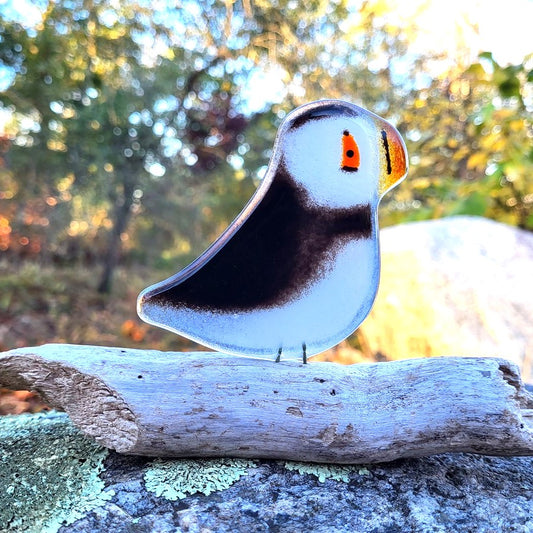 Fused Glass - Puffin