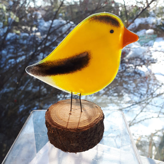 Fused Glass - Goldfinch
