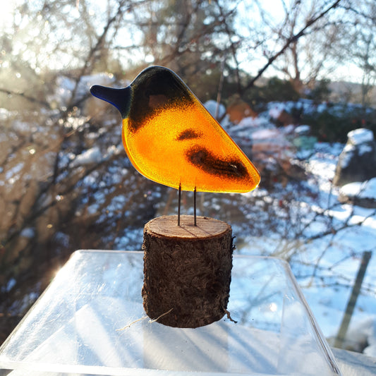 Fused Glass - Oriole Chick