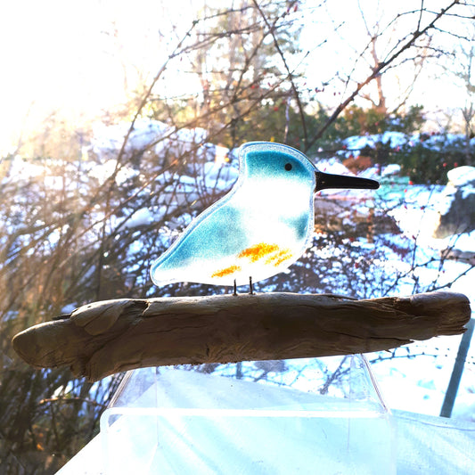 Fused Glass - Kingfisher