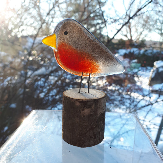 Fused Glass - Robin Chick