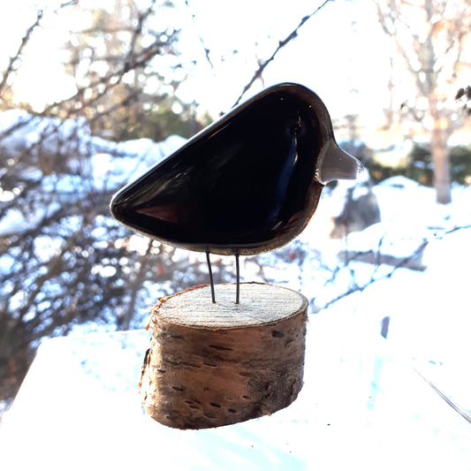 Fused Glass - Crow Chick