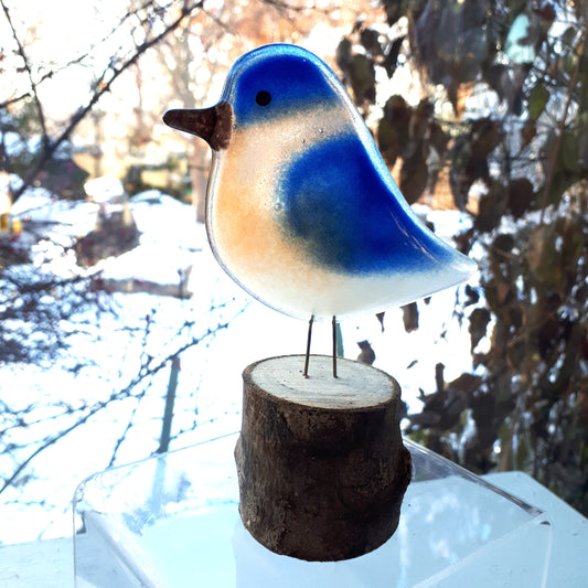 Fused Glass - Eastern Bluebird