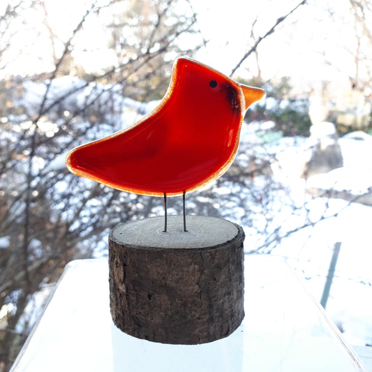 Fused Glass - Cardinal Chick