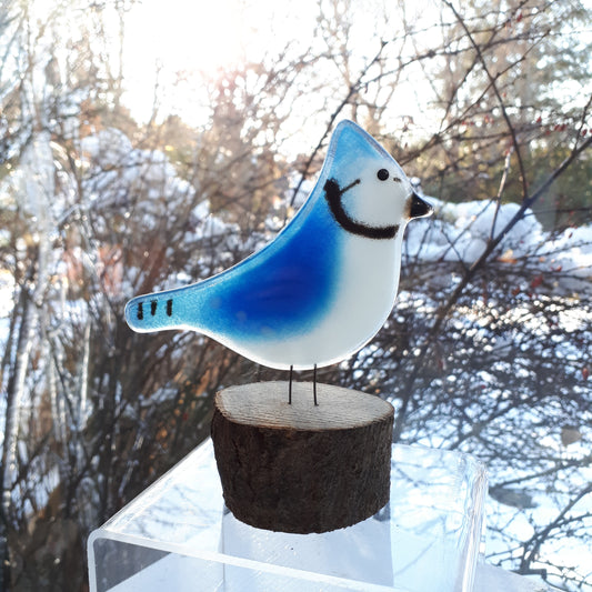Fused Glass - Blue Jay