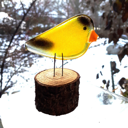 Fused Glass - Goldfinch Chick