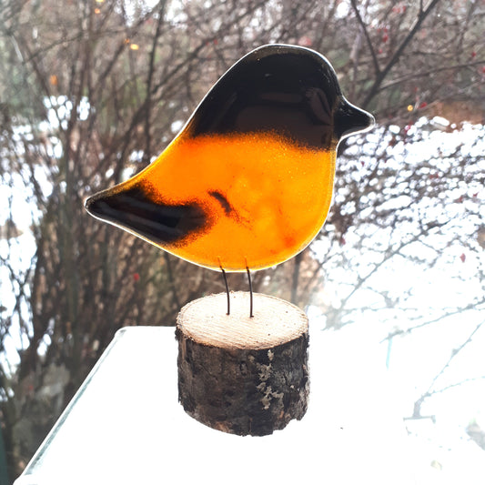 Fused Glass - Oriole