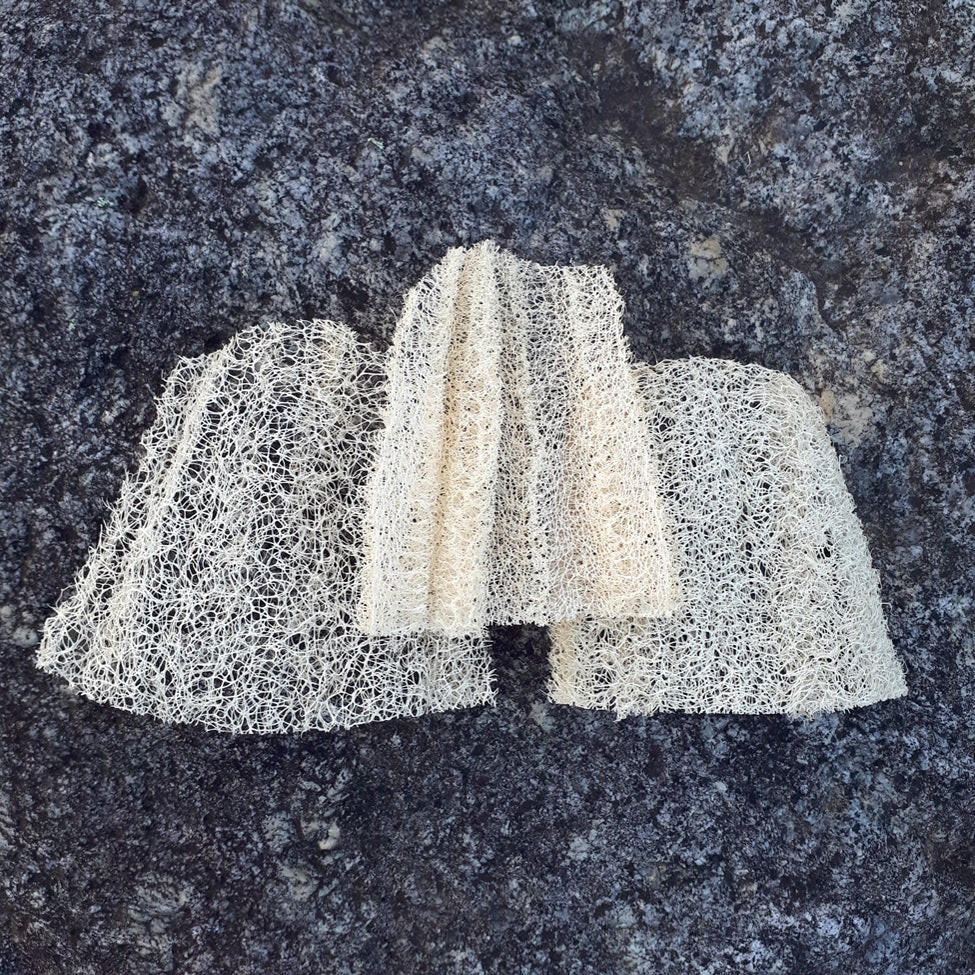 Annapolis Valley Luffa - Veggie Scrubbers, Set of 3