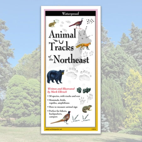 Folding Guide - Animal Tracks of the Northeast