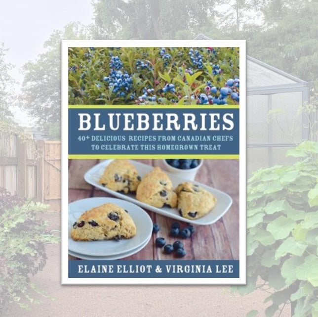 Blueberries