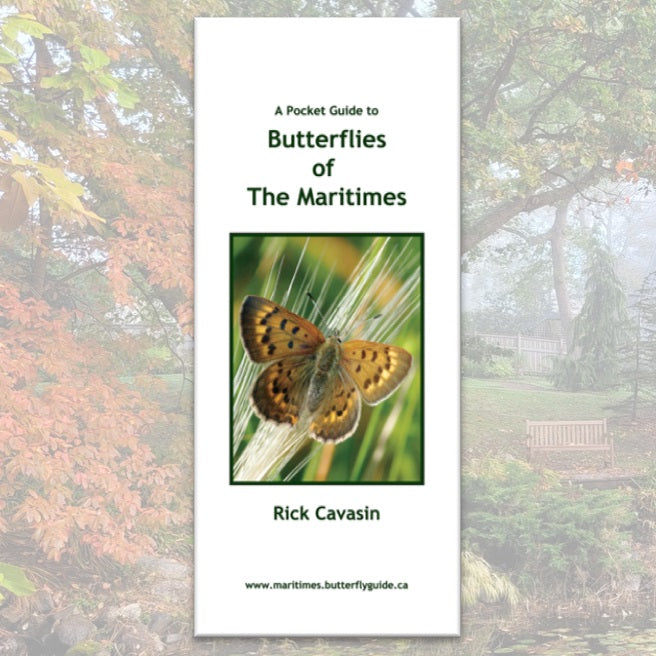 A Pocket Guide to Butterflies of the Maritimes