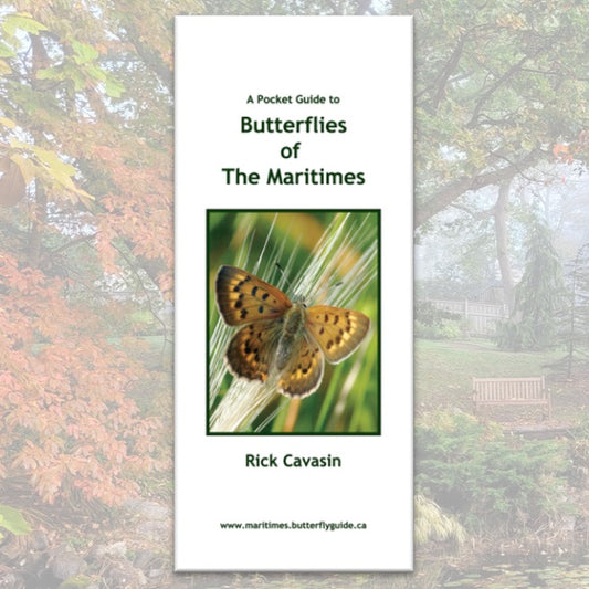 A Pocket Guide to Butterflies of the Maritimes