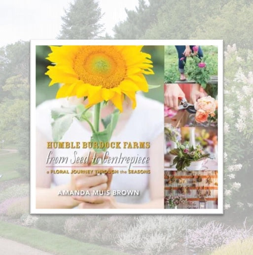 From Seed to Centrepiece
