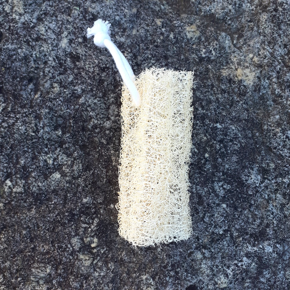 Annapolis Valley Luffa - 5" Corded Luffa