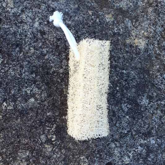 Annapolis Valley Luffa - 5" Corded Luffa