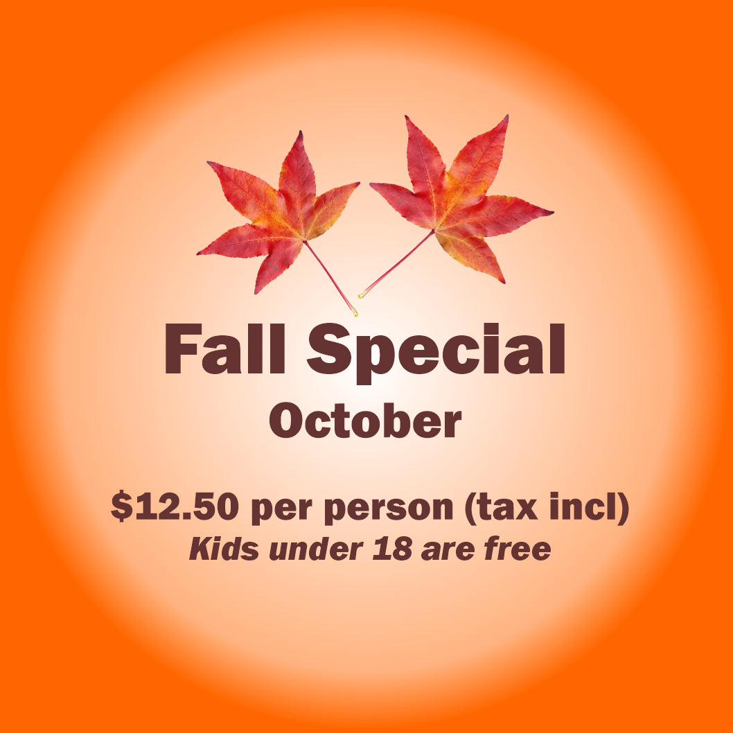 Admission - Fall Special
