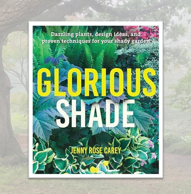 Glorious Shade