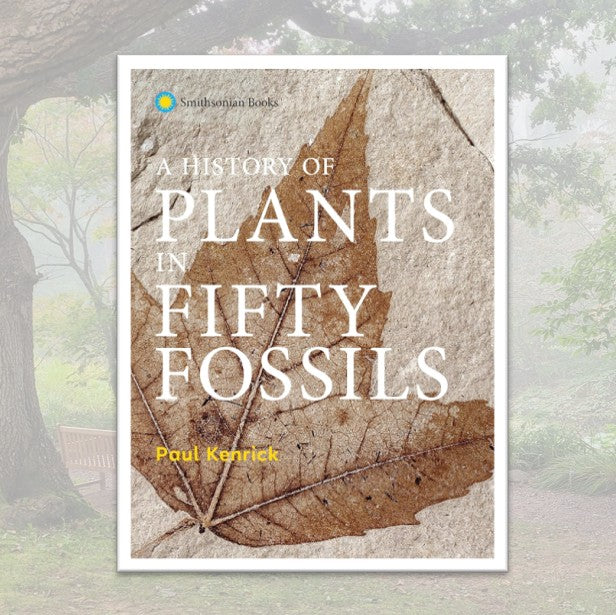 A History of Plants in Fifty Fossils