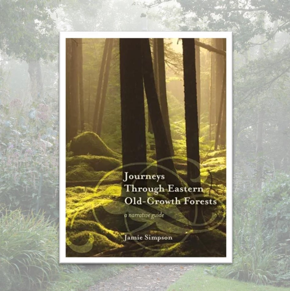 Journeys Through Eastern Old-Growth Forests