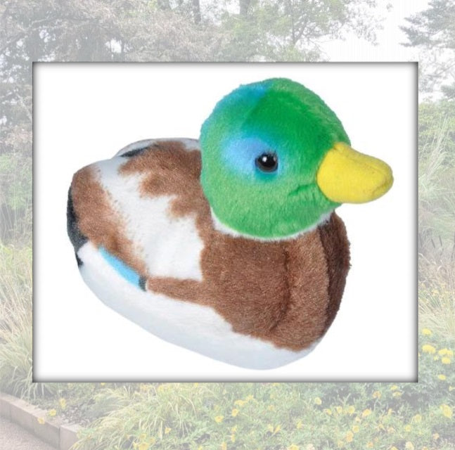 Stuffed Birds (with bird call)