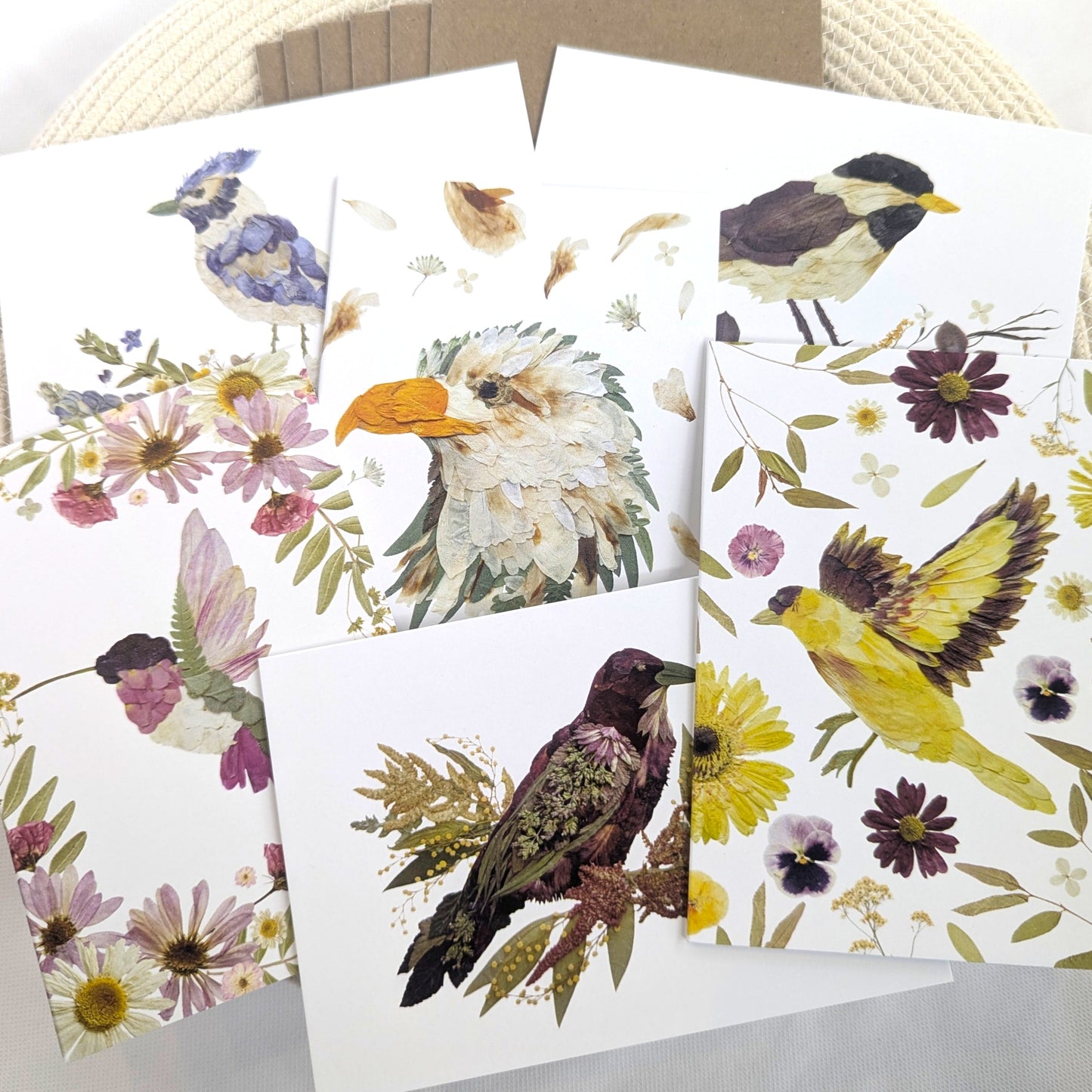 Seek & Bloom Note Card Mixed Sets