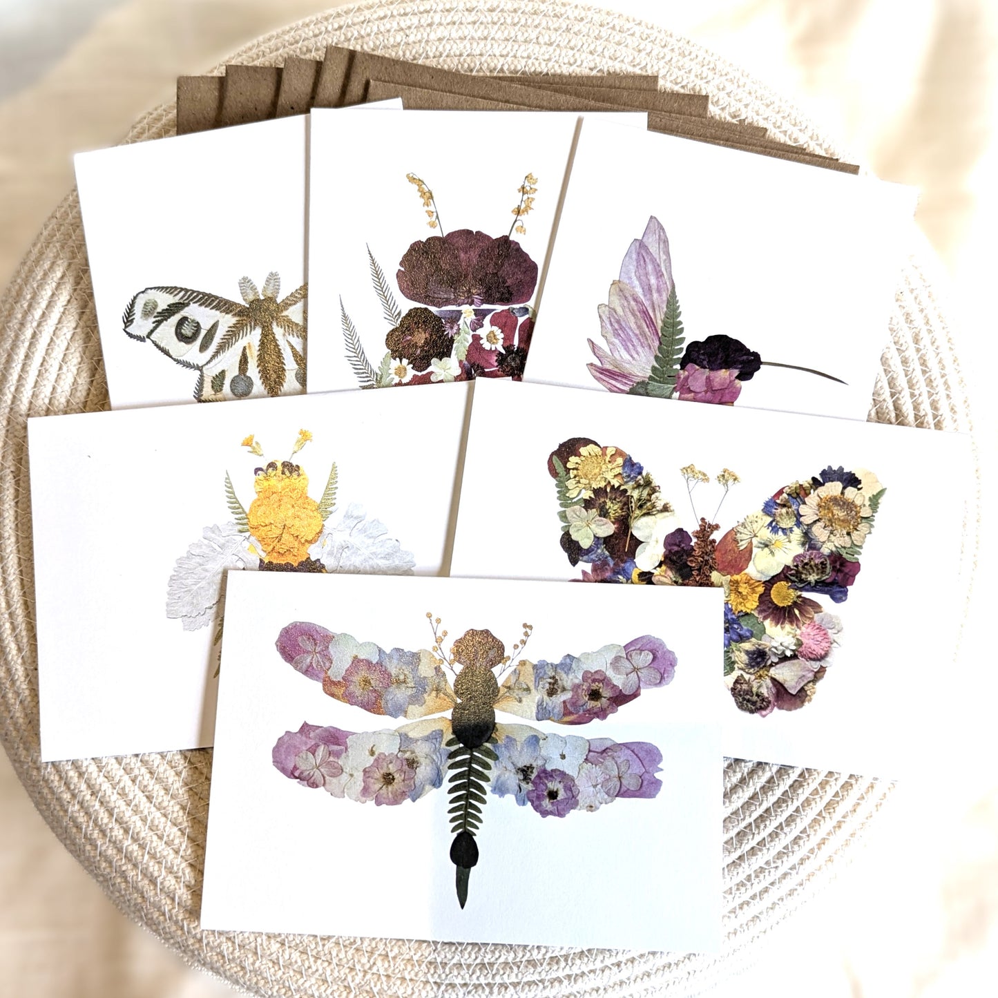 Seek & Bloom Note Card Mixed Sets