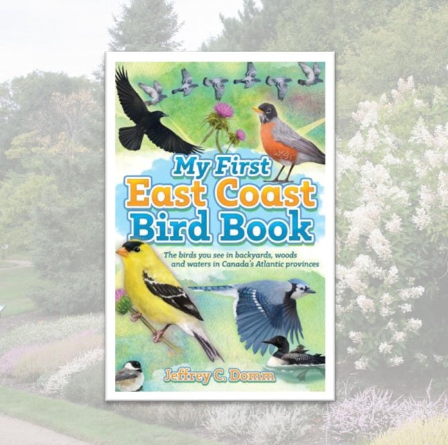 My First East Coast Bird Book