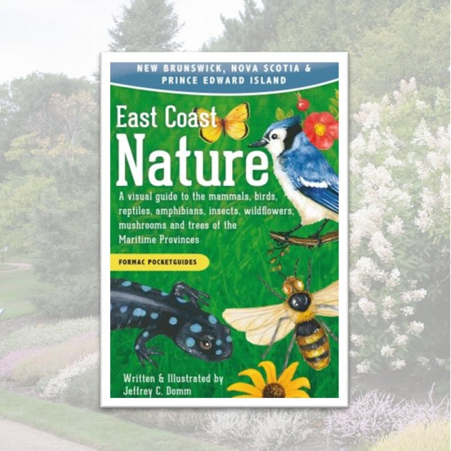 Formac PocketGuides