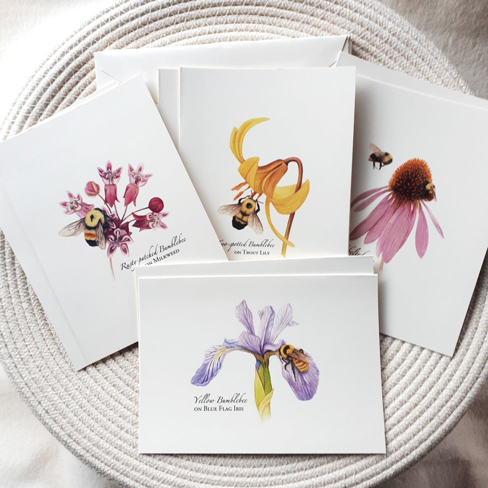 Note Cards