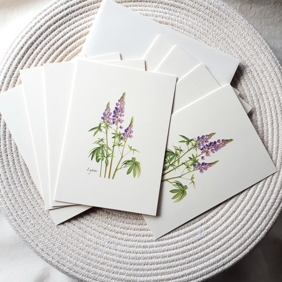 Note Cards