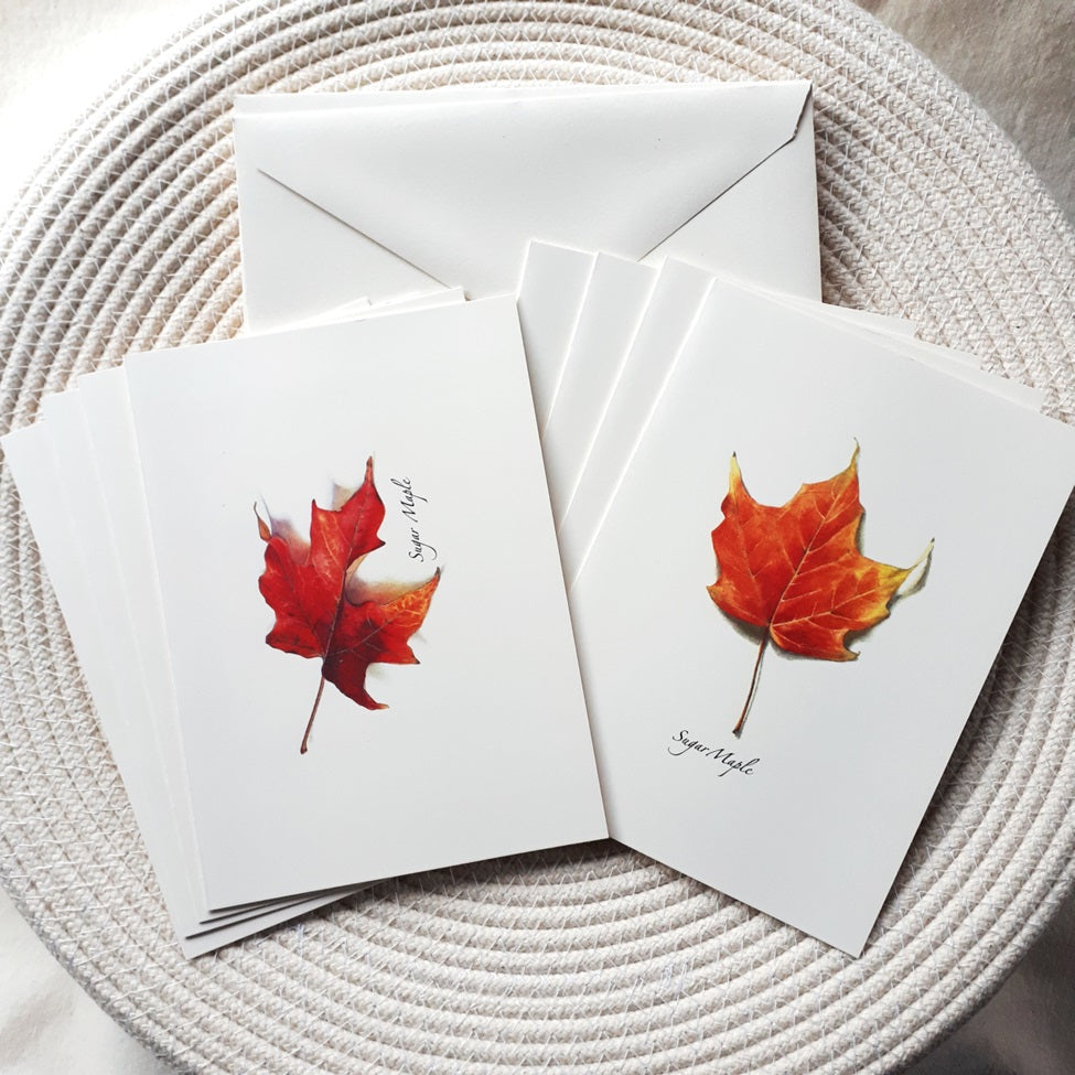 Note Cards