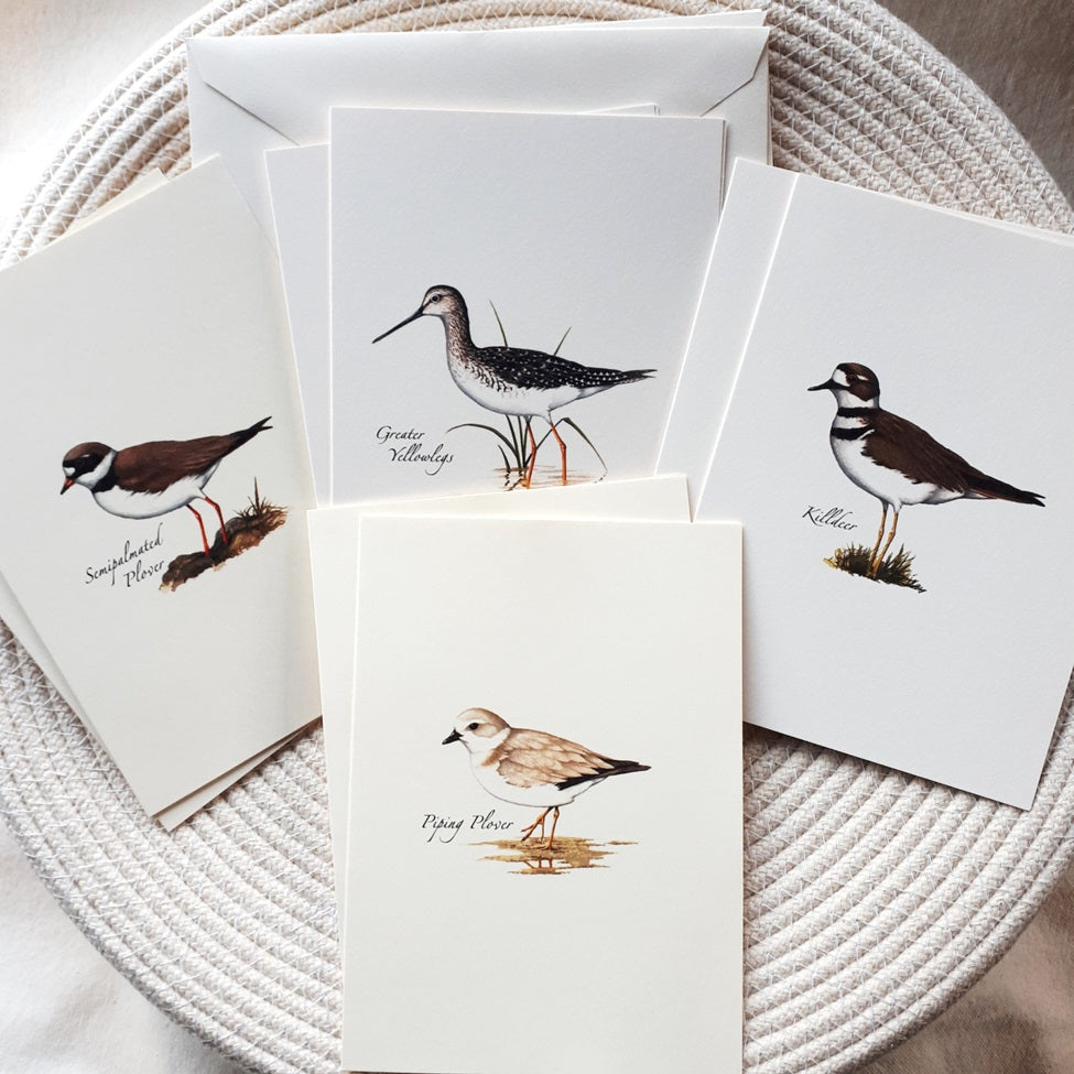 Note Cards
