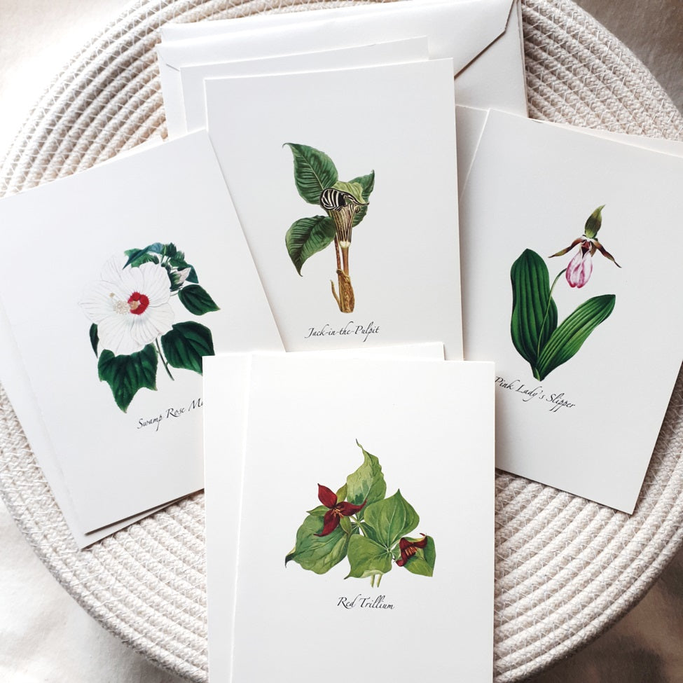 Note Cards