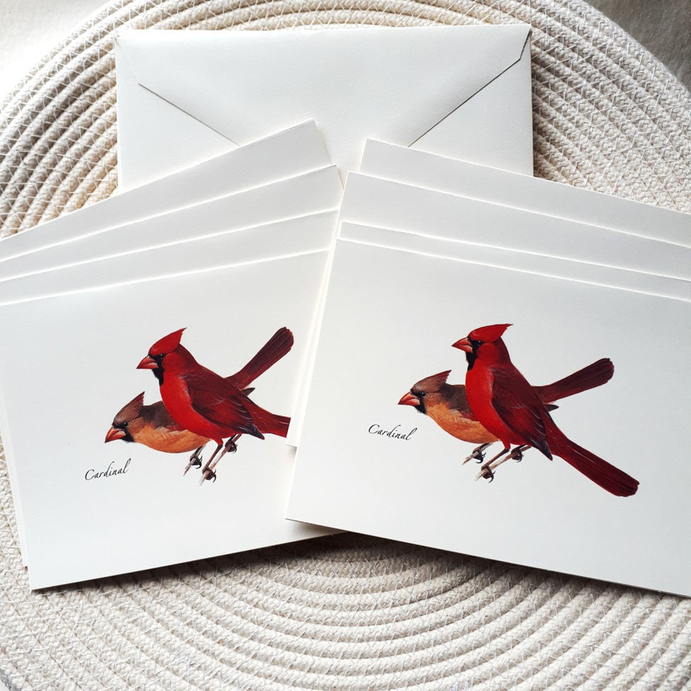 Note Cards