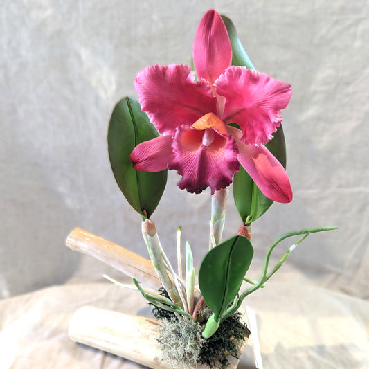 Chaba's Clay Flowers - Cattleya Orchid on Driftwood