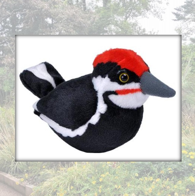 Stuffed Birds (with bird call)