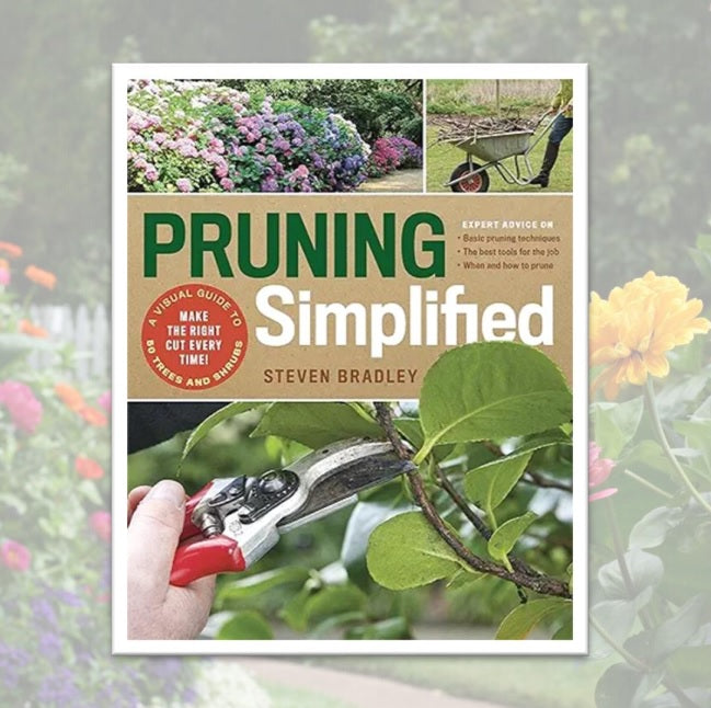 Pruning Simplified