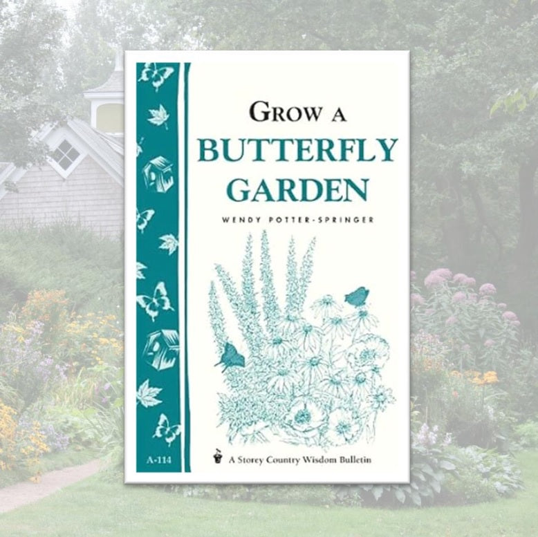 Grow a Butterfly Garden