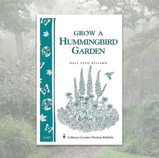 Grow A Hummingbird Garden
