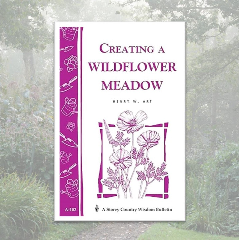 Creating a Wildflower Meadow