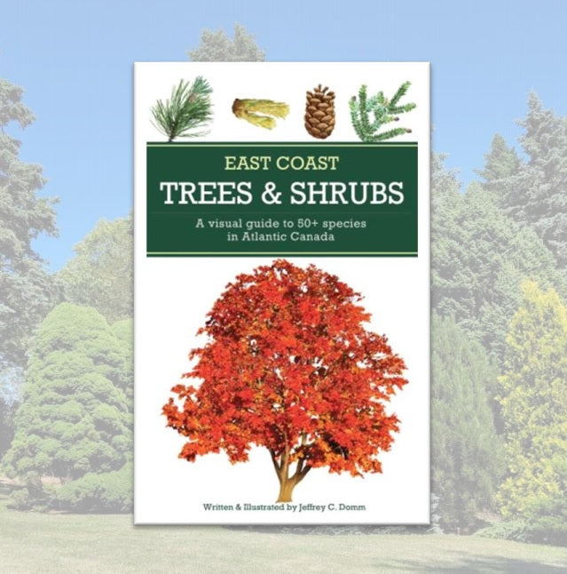 East Coast Trees & Shrubs