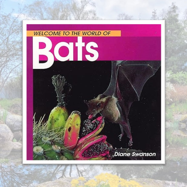 Welcome to the World of Bats