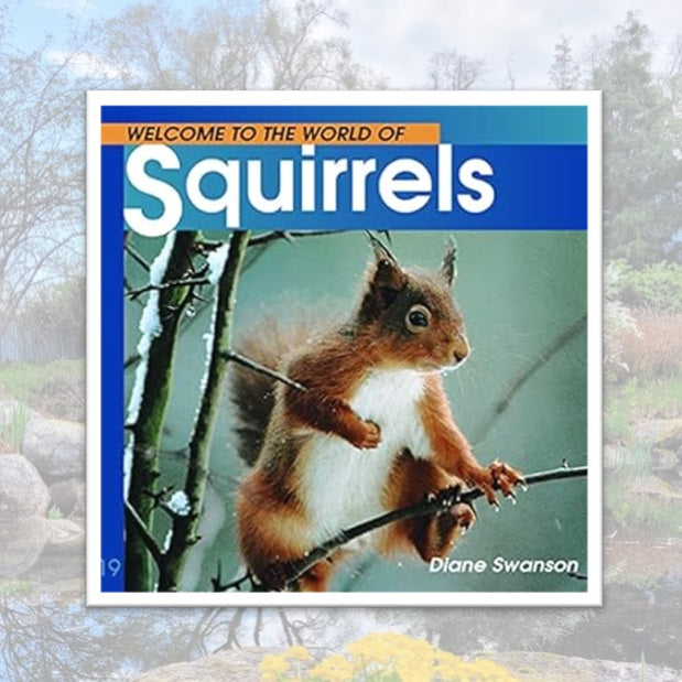 Welcome to the World of Squirrels