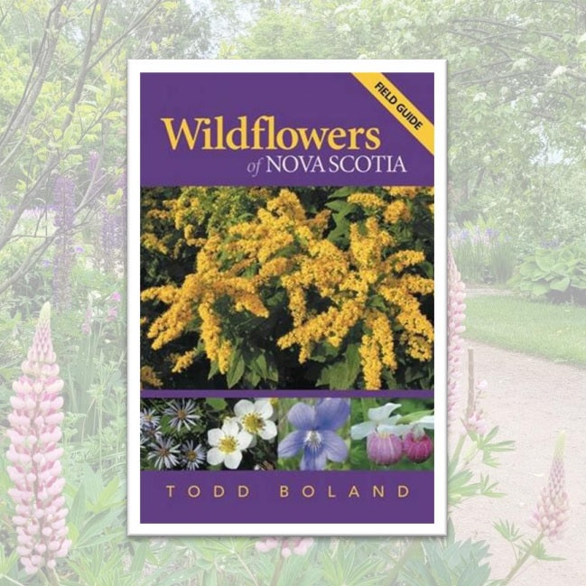 Wildflowers of Nova Scotia