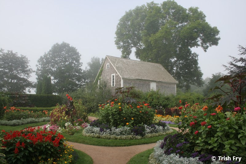 Photo Cards - Gardens Scenes & Floral