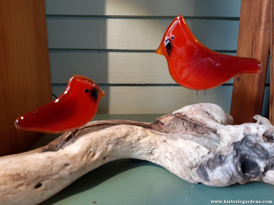 Fused Glass - Cardinal Father & Son