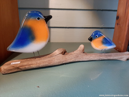 Fused Glass - Bluebird Adult & Chick
