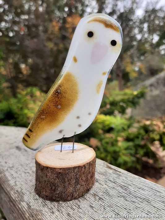 Fused Glass - Owl Chick