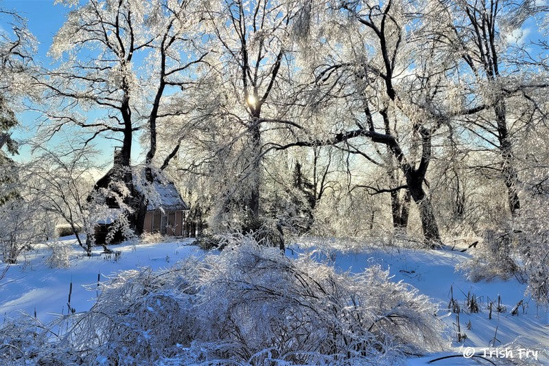 Photo Cards - Gardens Winter & Holiday